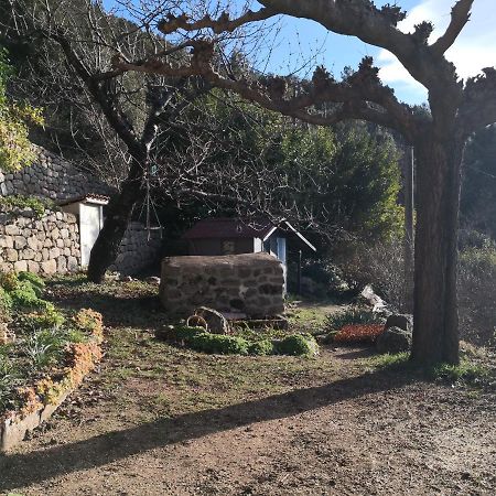 Studio Des Combes Dunieres-sur-Eyrieux ภายนอก รูปภาพ