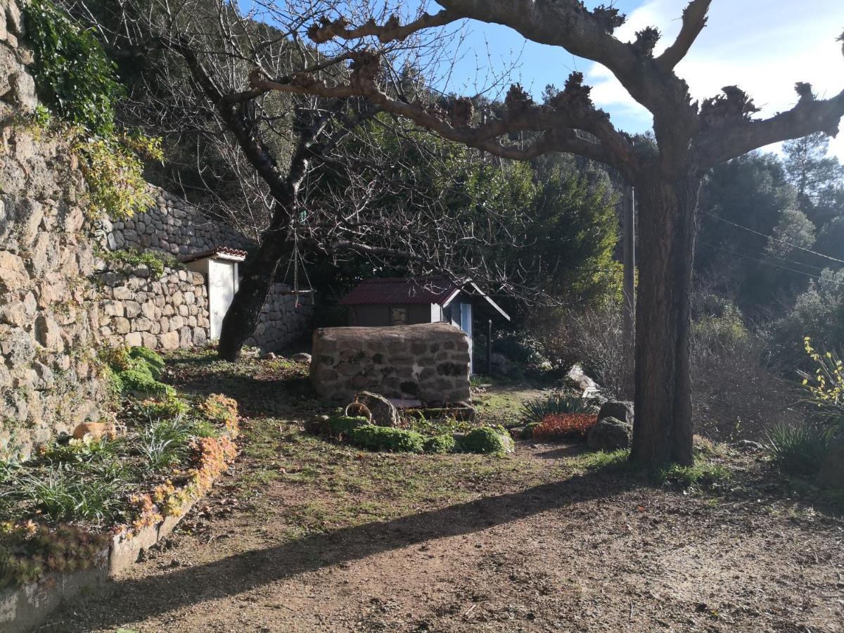 Studio Des Combes Dunieres-sur-Eyrieux ภายนอก รูปภาพ